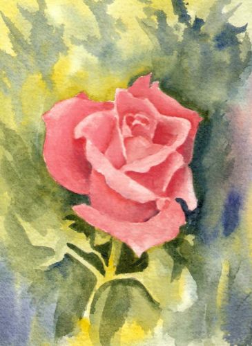 Picture of Ava's Rose