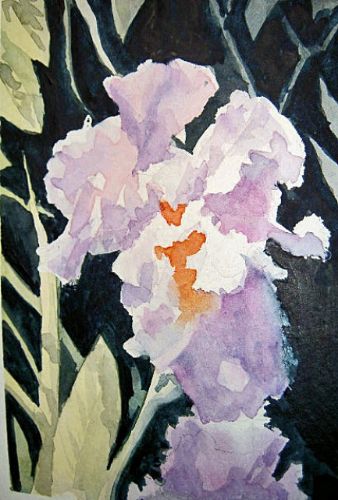Picture of Sandi's Poppies